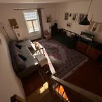 V Zltom Dome Homestay