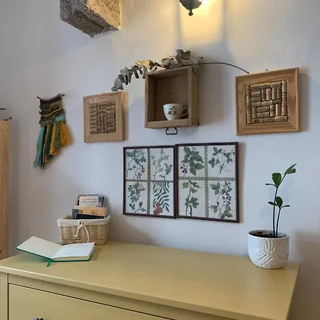 V žltom Dome Banská Štiavnica