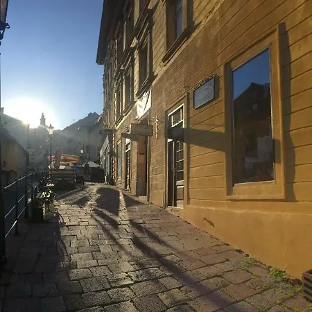 Δωμάτια σε οικογενειακή κατοικία V Zltom Dome Banská Štiavnica